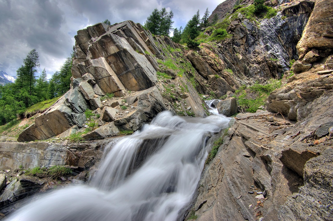 Les entreprises se mobilisent pour protéger l’environnement