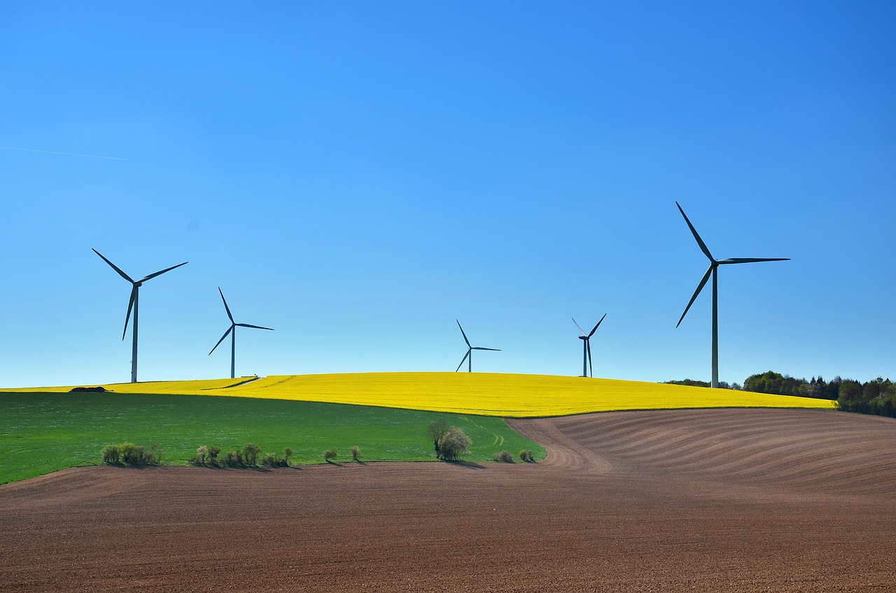 Développement durable : un tour d’horizon des initiatives marquantes de 2024 !