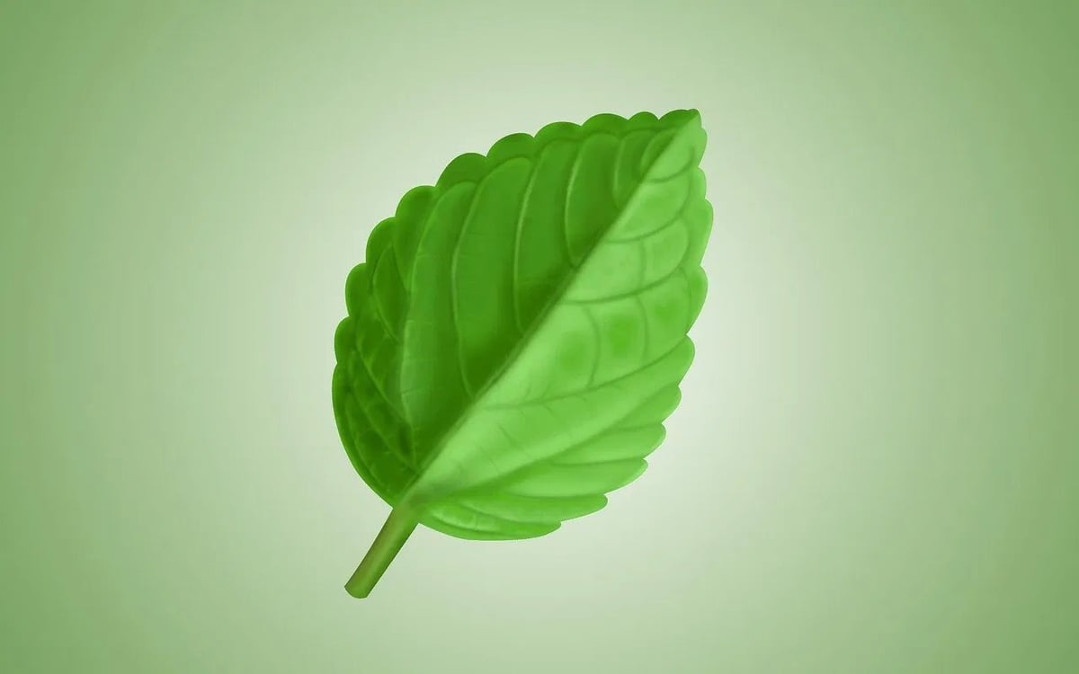 Valérie Huyg : une icône inspirante des gestes écologiques au quotidien