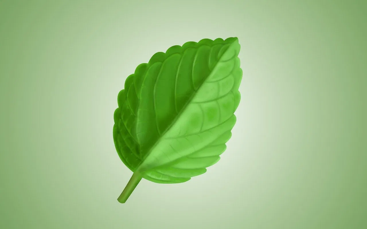 Valérie Huyg : une icône inspirante des gestes écologiques au quotidien