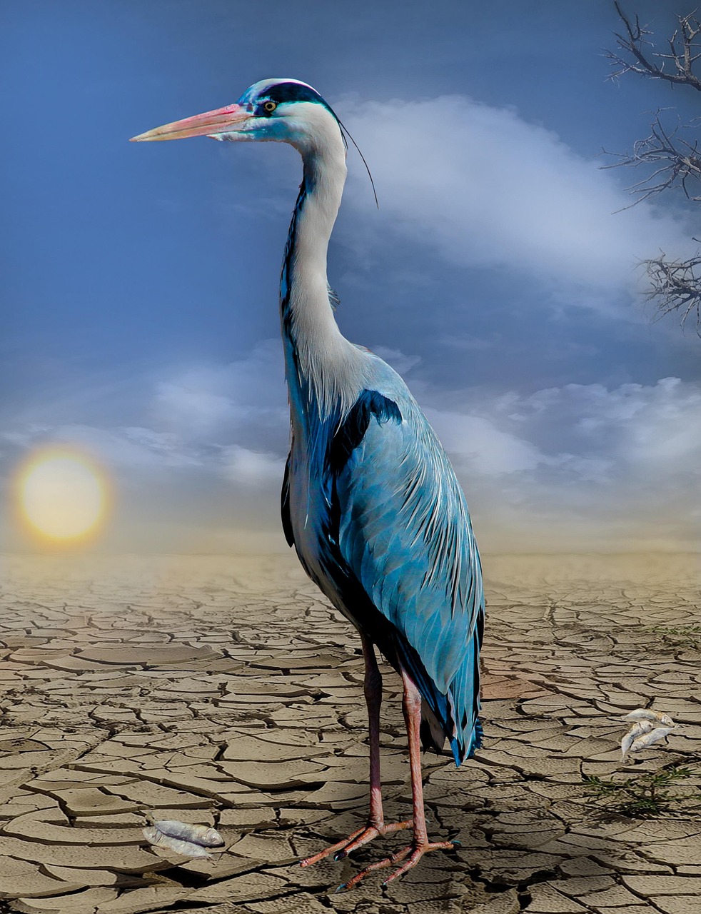 Changement climatique : des ressources pour mieux comprendre le bilan carbone