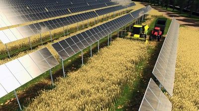 L’usine Nestlé de Biessenhofen adopte l’agrivoltaïsme pour renforcer son impact positif sur le bilan carbone