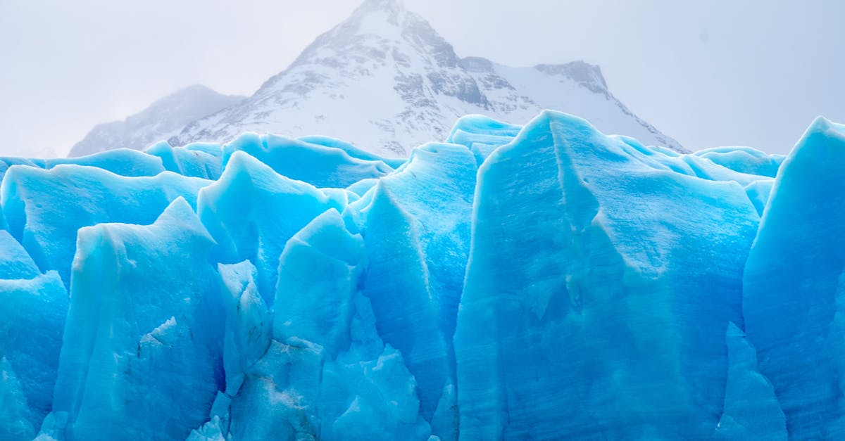 Les glaciers : sentinelles du changement climatique