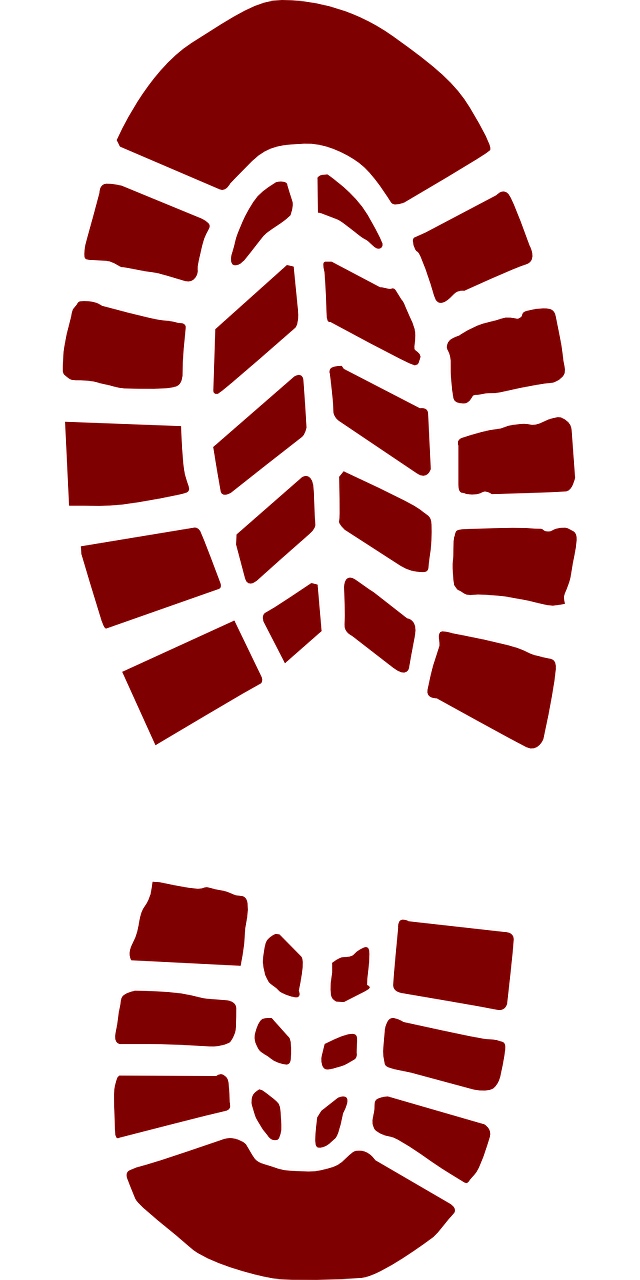 Bilan carbone et énergies renouvelables : un duo gagnant