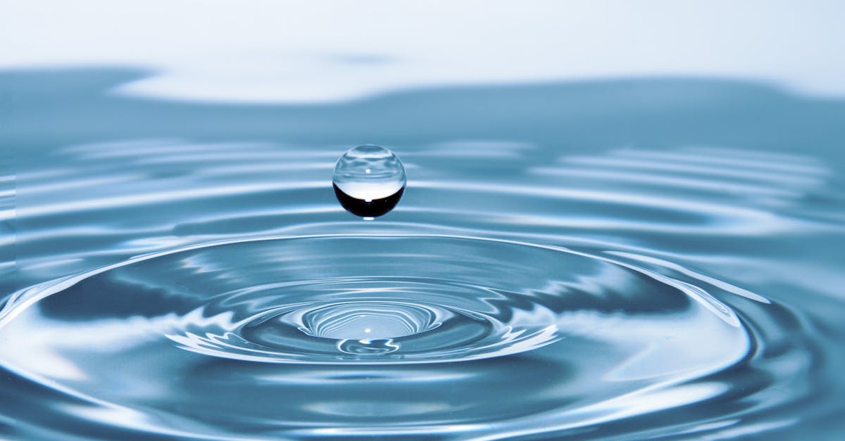 L’eau et le climat : comment préserver cette ressource vitale
