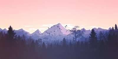 « Climat », « vert », « nature » : pourquoi ces mots tombent en désuétude et comment la BPI continue de les promouvoir