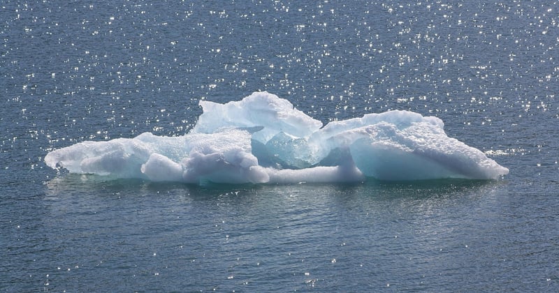 Impact réchauffement climatique sur faune arctique : un déclin silencieux