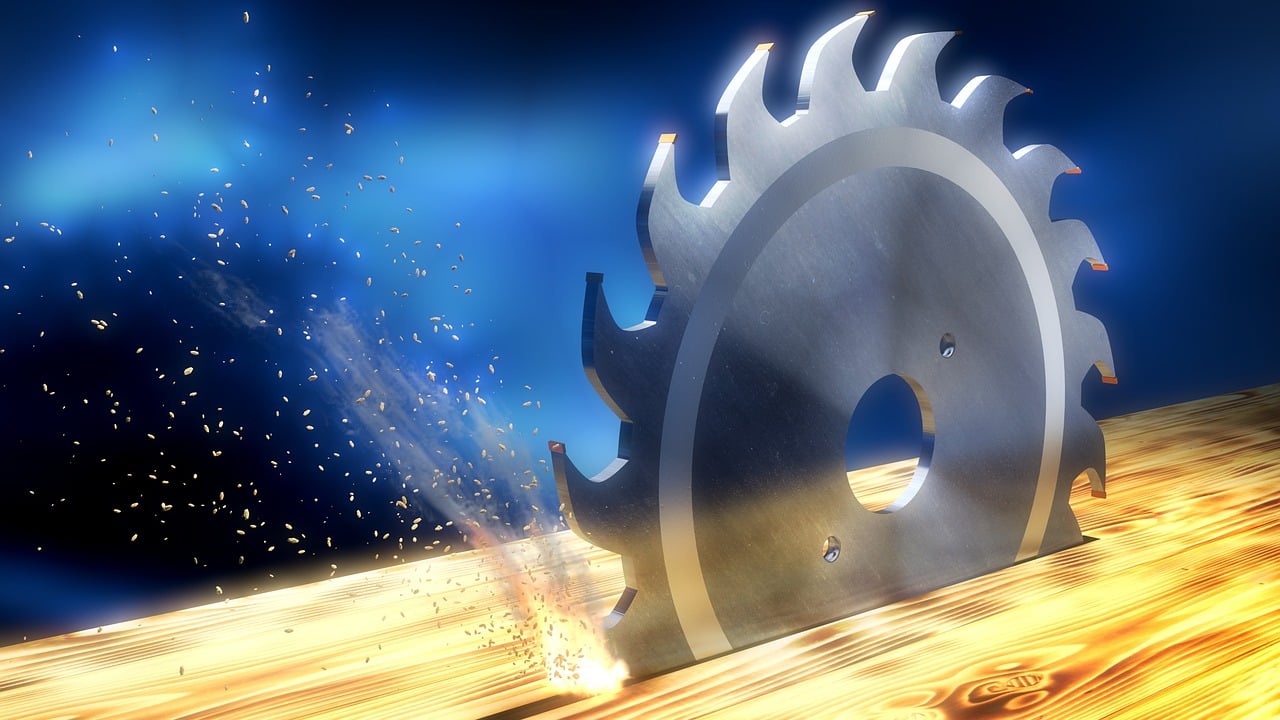 L’impact de l’économie circulaire sur la biodiversité et le bilan carbone