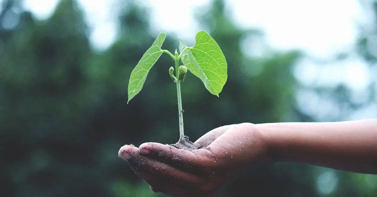 Mesures urgentes contre le changement climatique en 2025