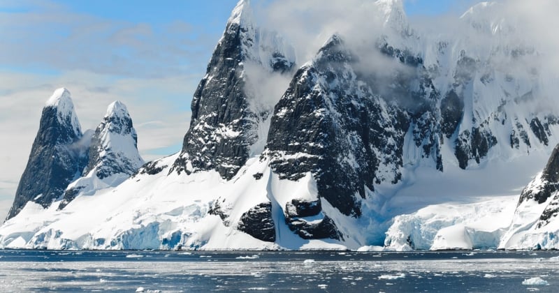 Pourquoi la fondation glaciaire menace la biodiversité arctique