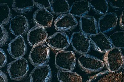 Bilan annuel 2025 : Une organisation stratégique robuste pour relever les défis d’un marché exigeant, moteur du plan de croissance