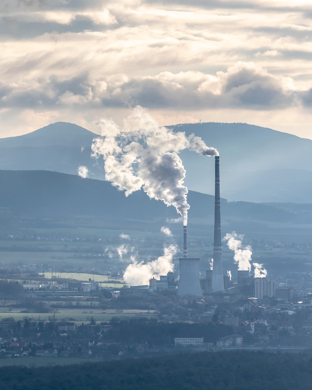 Comprendre les limites des compensations carbone