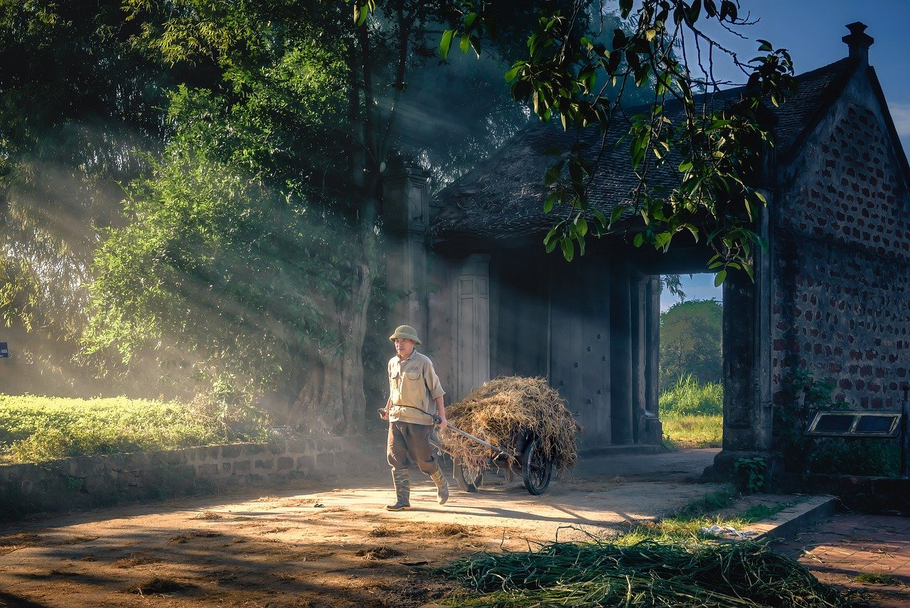 Changement climatique : l’impact des transports sur le bilan carbone