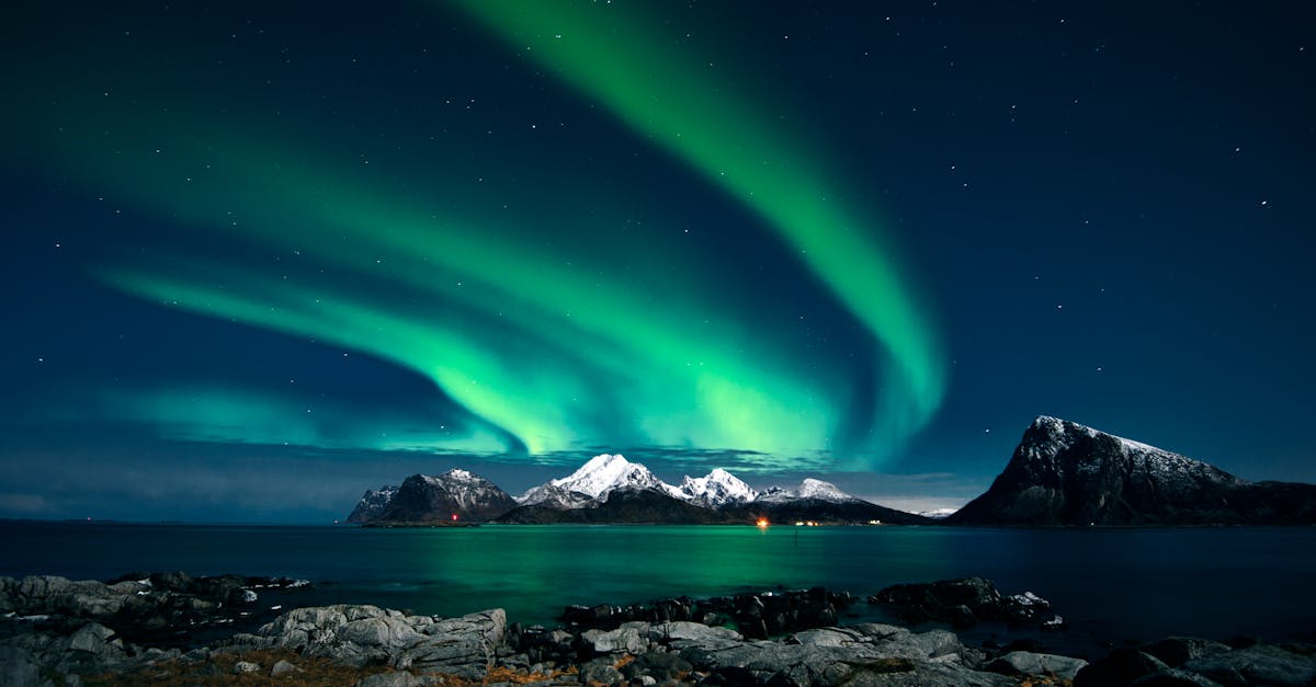 découvrez le monde fascinant de l'arctique, un habitat unique peuplé d'espèces majestueuses, de paysages glacés à couper le souffle et de cultures autochtones riches. explorez la beauté préservée de cette région extrême, ses enjeux environnementaux et les merveilles naturelles qui font de l'arctique un trésor planétaire.