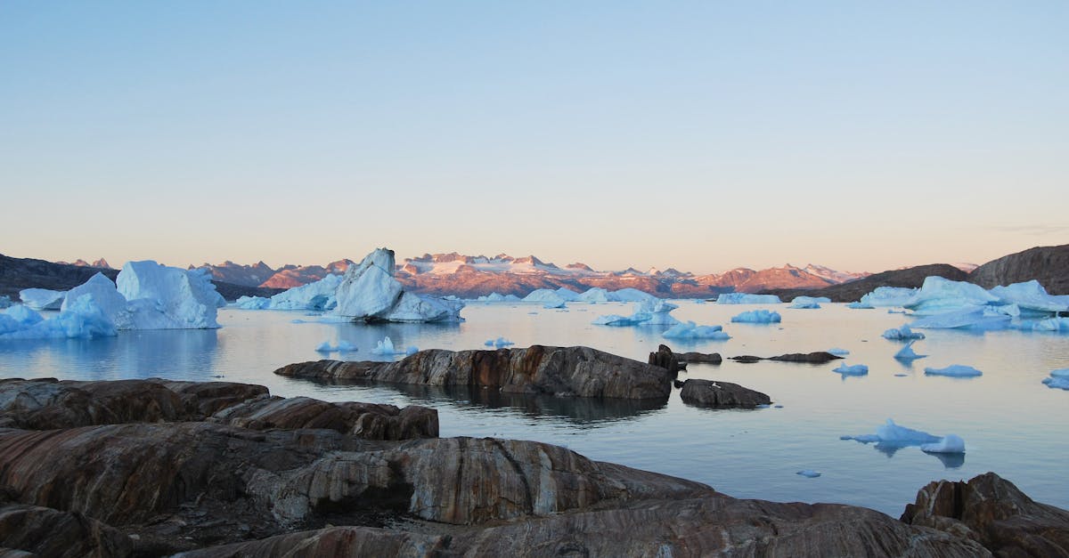 découvrez les merveilles de l'arctique, un royaume de glace et de paysages fascinants. plongez dans l'univers des ours polaires, des aurores boréales et des écosystèmes uniques qui font de cette région un lieu inoubliable à explorer.