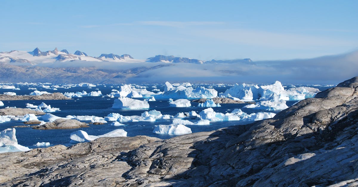 découvrez les merveilles de l'arctique : un monde de paysages enneigés, de faune unique et de cultures fascinantes. explorez les glaciers majestueux, les ours polaires et les aurores boréales dans cette région mystérieuse et préservée.