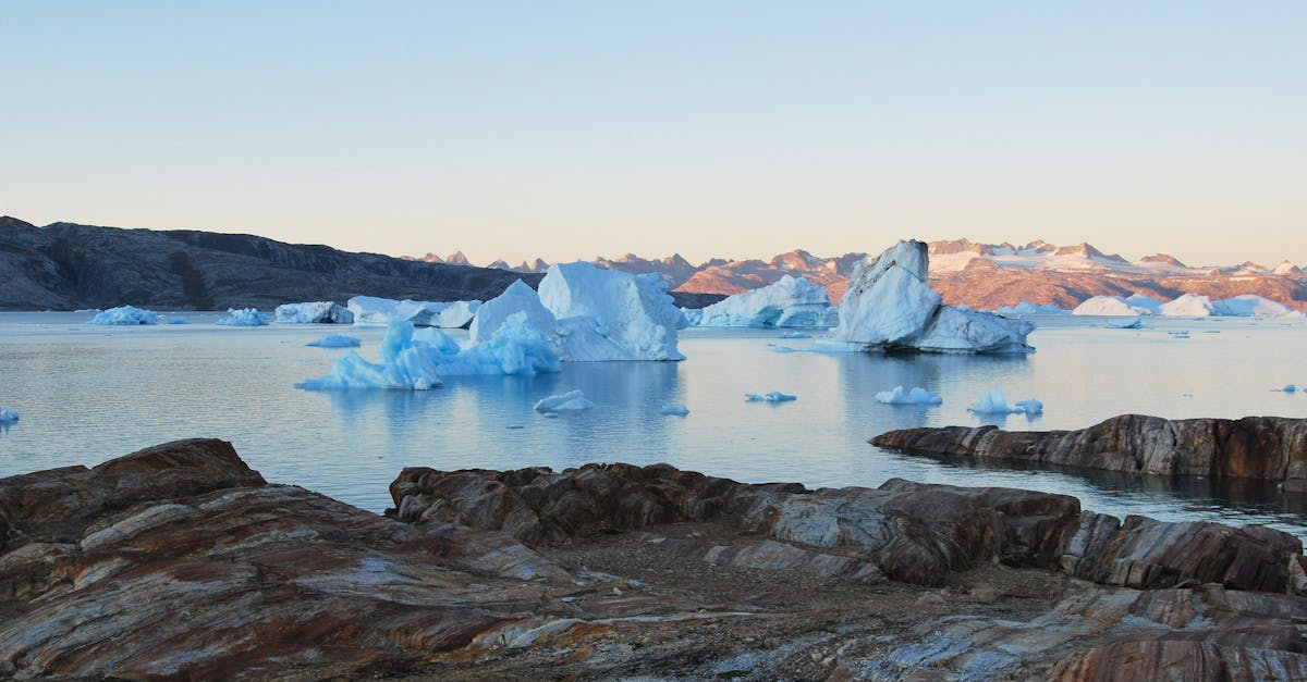 découvrez l'univers captivant de l'arctique, une région glaciale pleine de paysages à couper le souffle, de faune unique et de cultures fascinantes. explorez ses mystères, son climat extrême et la beauté sauvage qui provient de cet environnement isolé.