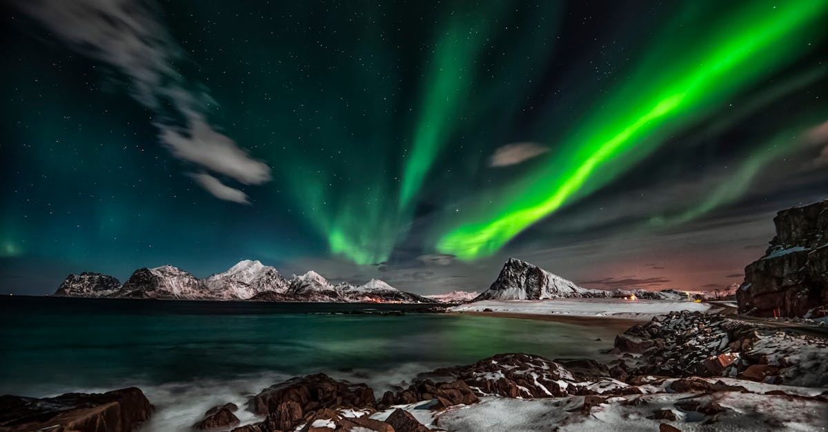 découvrez les merveilles de l'arctique, un monde de paysages glacés, de faune unique et de phénomènes naturels époustouflants, où la beauté sauvage rencontre la fragilité écologique.