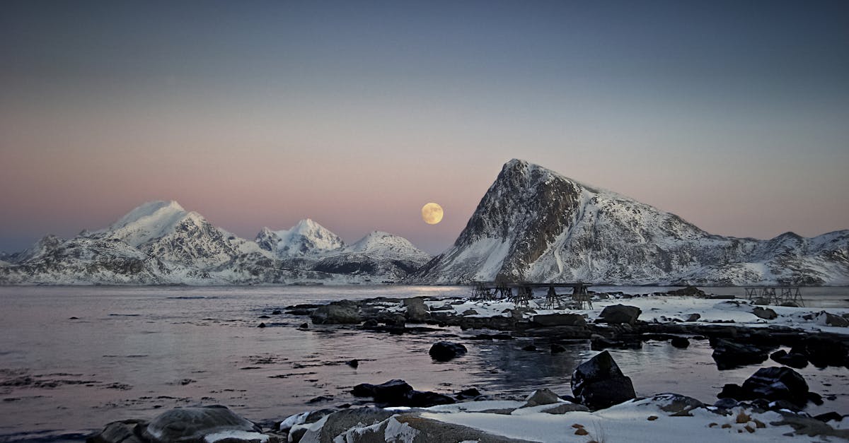 découvrez les merveilles de l'arctique : un monde de paysages glacés, de faune unique et d'aventures inoubliables, entre aurores boréales et icebergs majestueux.