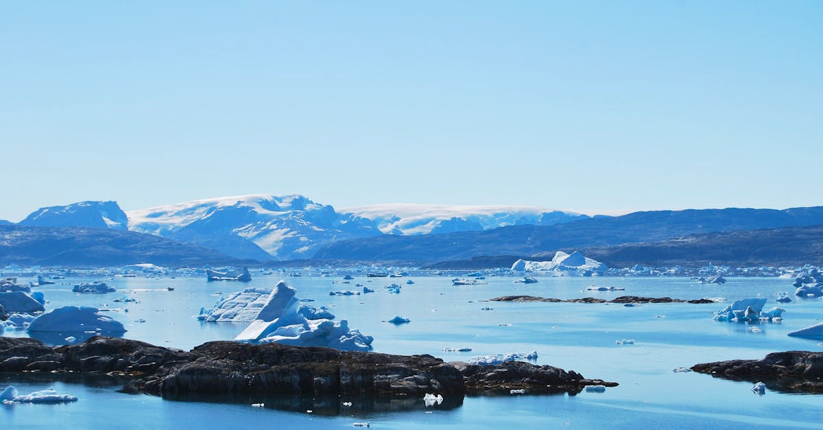 plongez dans l'univers fascinant de l'arctique, un monde de paysages glaciaires majestueux, de faune unique et de cultures autochtones riches. découvrez les défis environnementaux et les merveilles naturelles de cette région isolée du globe.