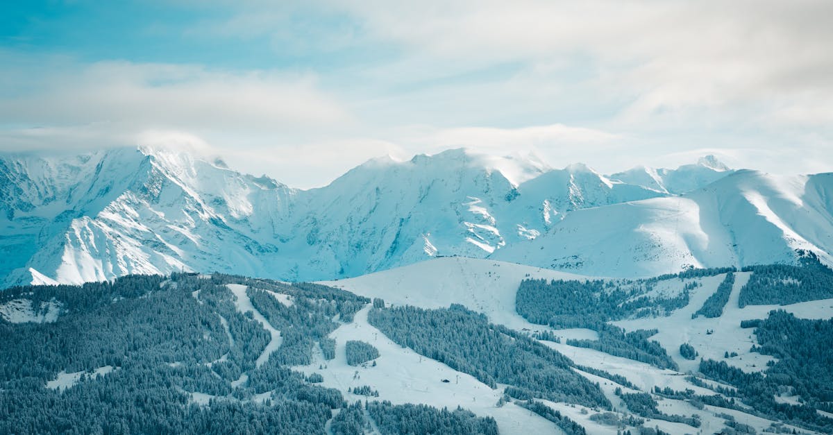 découvrez des stratégies innovantes pour réduire les émissions dans l'arctique, un enjeu crucial pour la préservation de notre planète. apprenez comment les politiques et les technologies peuvent contribuer à un avenir plus durable dans cette région vulnérable.