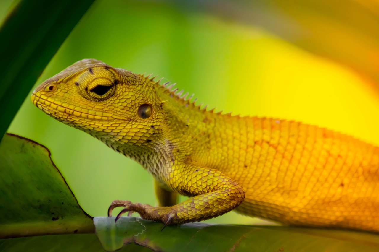 découvrez comment l'adaptation joue un rôle crucial dans notre vie quotidienne, que ce soit sur le plan personnel, professionnel ou environnemental. apprenez les stratégies pour s'ajuster aux changements et maximiser votre potentiel d'évolution.