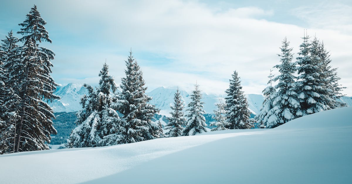 découvrez les stratégies innovantes pour réduire les émissions en arctique, essentielles pour la lutte contre le changement climatique et la préservation des écosystèmes fragiles de cette région unique.