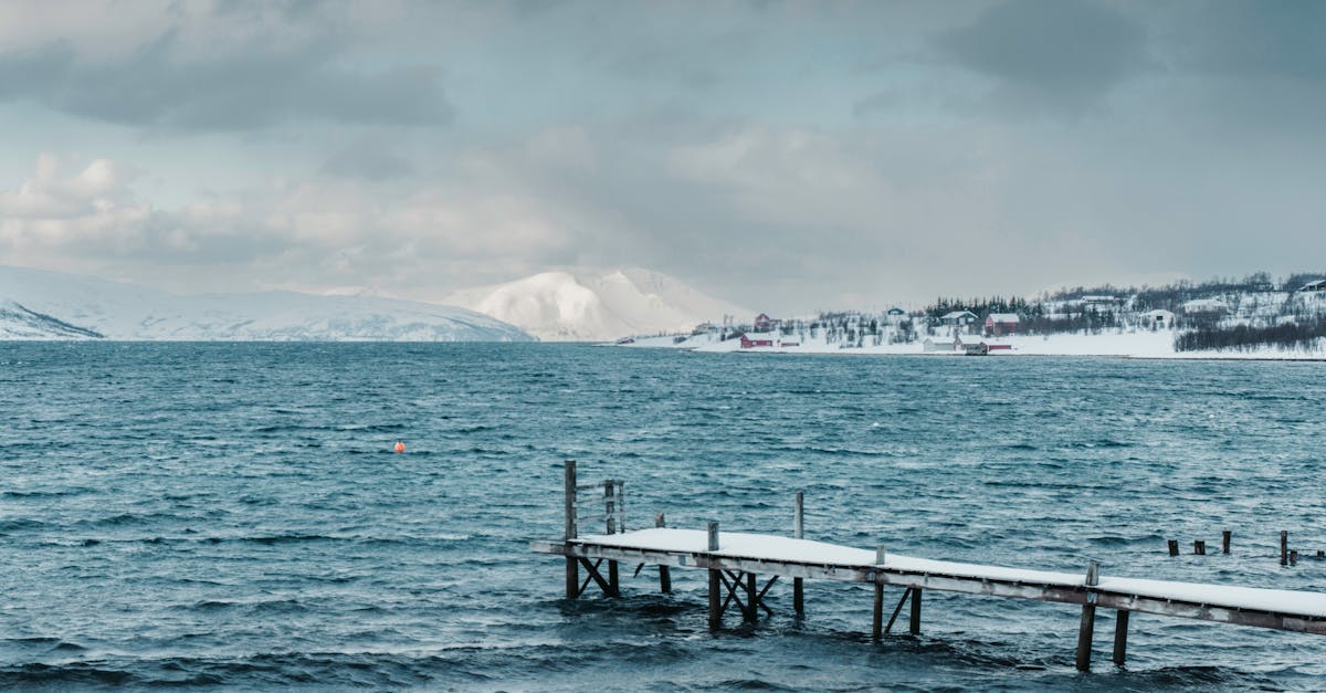 découvrez l'avenir de l'arctique : enjeux climatiques, biodiversité menacée et solutions durables pour préserver cet écosystème unique. plongez dans les défis et les opportunités qui façonnent l'avenir de cette région vitale.