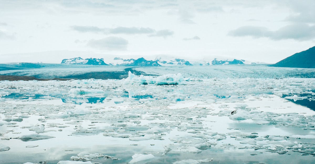 découvrez la beauté saisissante des glaciers arctiques, témoins majestueux du changement climatique. explorez leur impact sur l'écosystème, les défis de leur fonte et les efforts de préservation pour protéger ces merveilles naturelles uniques.