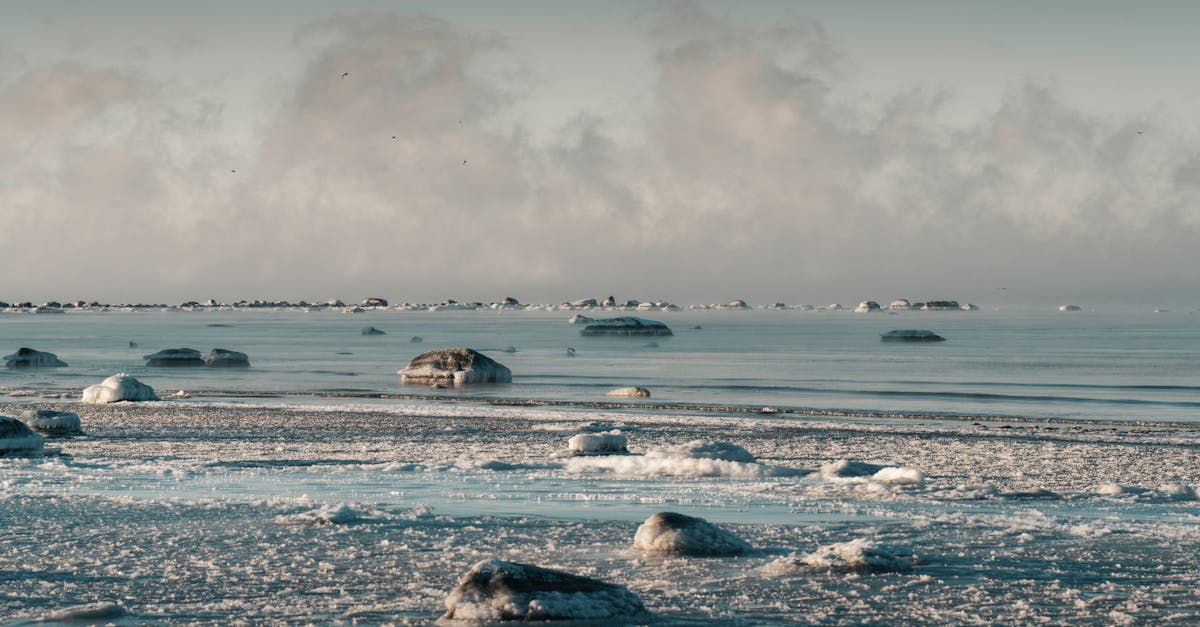 découvrez l'impact alarmant de la pollution dans les régions arctiques, ses conséquences sur l'écosystème et les populations locales, ainsi que les initiatives visant à protéger cet environnement fragile.