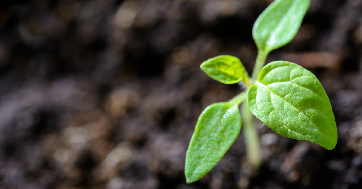 découvrez comment la durabilité influence notre avenir : des pratiques écologiques aux innovations durables, apprenez à adopter un mode de vie respectueux de l'environnement tout en préservant les ressources pour les générations futures.