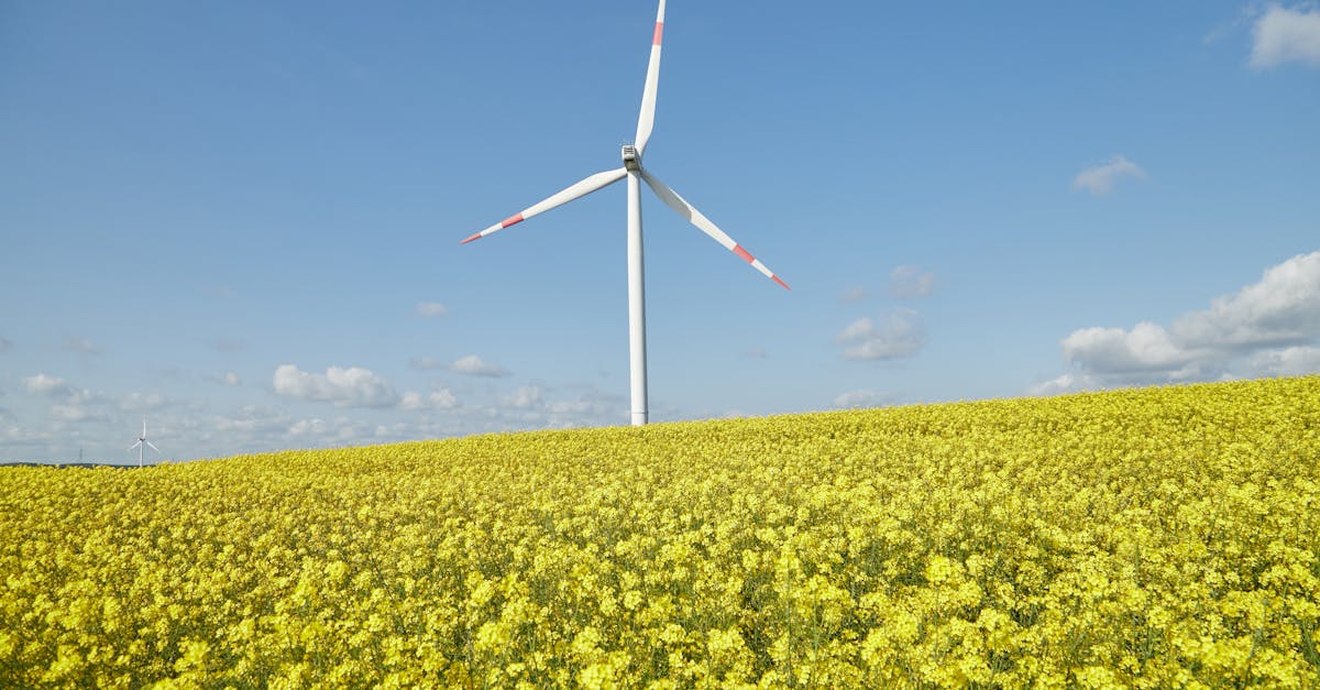 découvrez comment établir des partenariats durables qui favorisent la collaboration, l'innovation et la responsabilité sociale. explorez des stratégies pour construire des relations solides et respectueuses de l'environnement.