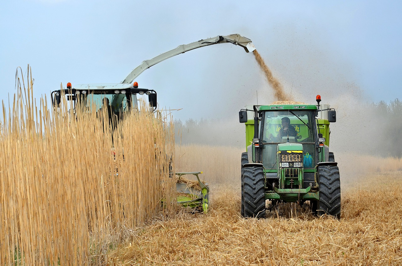 découvrez tout sur les biofuels, des sources d'énergie renouvelables qui contribuent à la réduction des émissions de gaz à effet de serre. apprenez comment ces combustibles écologiques sont produits, leurs avantages, et leur rôle dans la transition énergétique vers un avenir durable.