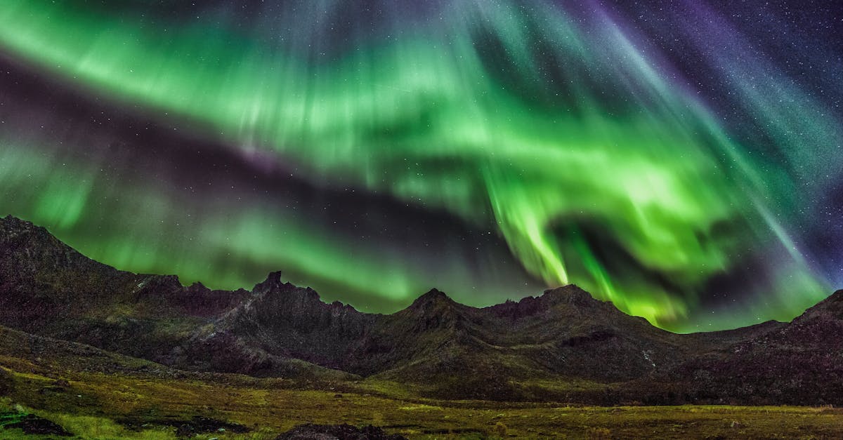 découvrez les merveilles de l'arctique, un monde fascinant de paysages gelés, de faune unique et de cultures indigènes. explorez la beauté sauvage et les défis écologiques de cette région isolée.