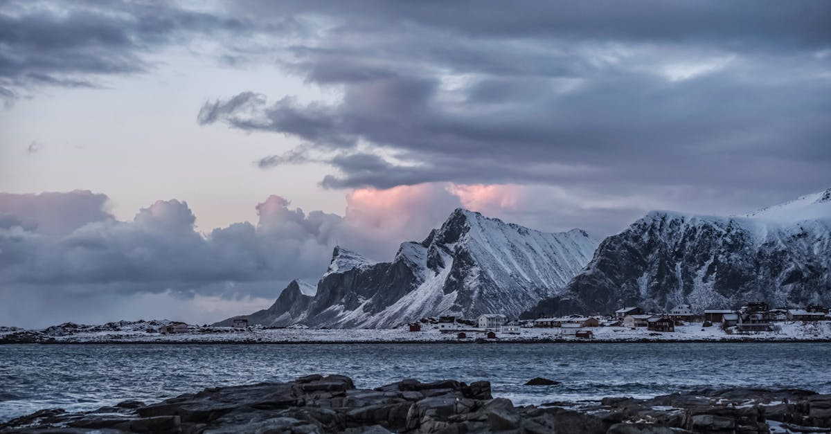 découvrez les merveilles de l'arctique : un monde fascinant de glaces éternelles, de faune sauvage et de paysages à couper le souffle. explorez les enjeux environnementaux, les cultures autochtones et les aventures en plein air qui font de cette région une destination unique.