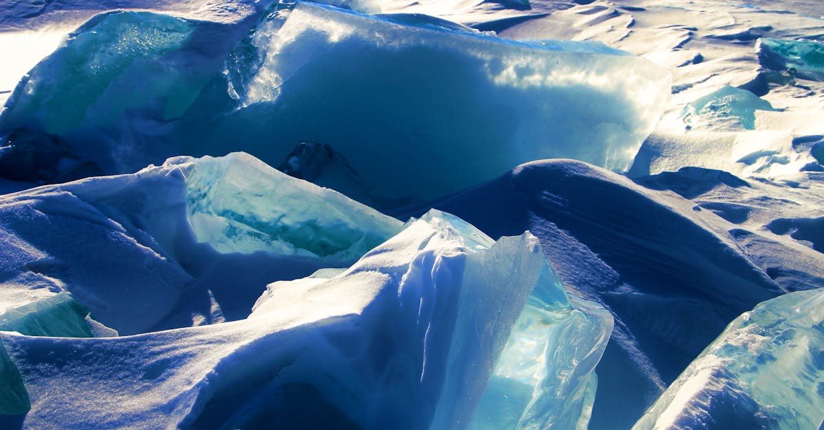 découvrez l'impact du climat arctique sur notre planète, ses conséquences sur la biodiversité, et les défis environnementaux auxquels nous faisons face. explorez les enjeux du réchauffement climatique dans cette région fragile et les efforts pour préserver l'arctique.