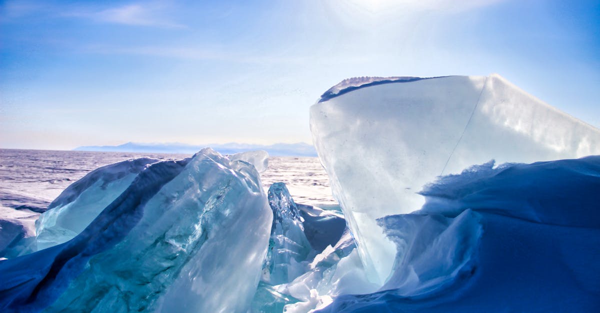 découvrez les enjeux du climat arctique, un écosystème fragile menacé par le réchauffement climatique. plongez dans les impacts sur la biodiversité, les communautés autochtones et les phénomènes météorologiques globaux.