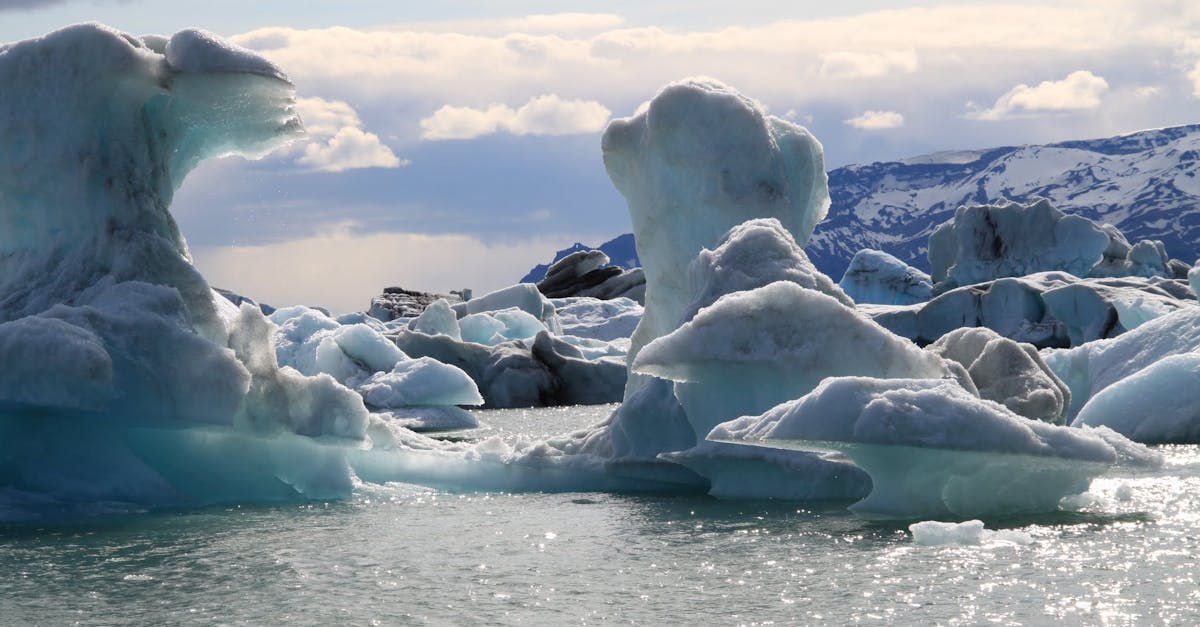 découvrez l'importance de la conservation arctique, ses défis et les initiatives mises en place pour protéger cet écosystème fragile. explorez les efforts pour sauvegarder la faune, la flore et les cultures locales face aux impacts du changement climatique.