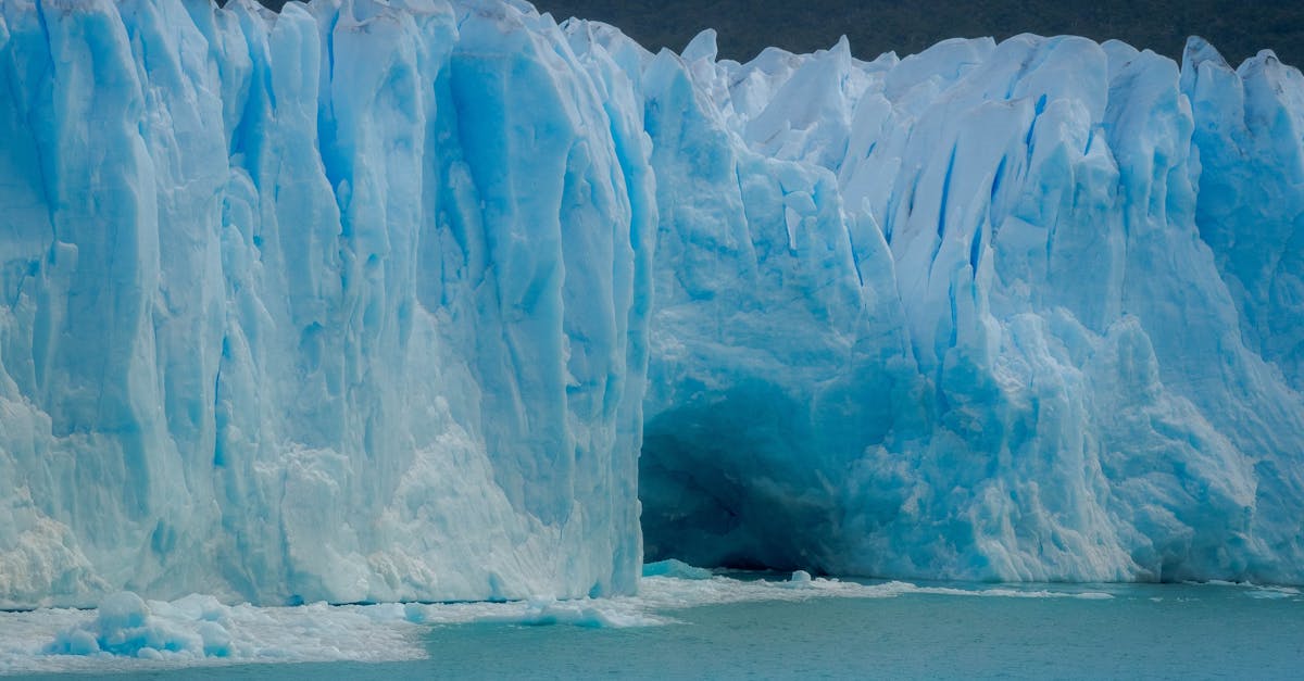 découvrez comment les traditions arctiques sont préservées à travers les âges, favorisant la richesse culturelle et l'héritage des peuples autochtones de l'arctique. explorez les initiatives et les projets qui mettent en valeur ces pratiques ancestrales uniques.