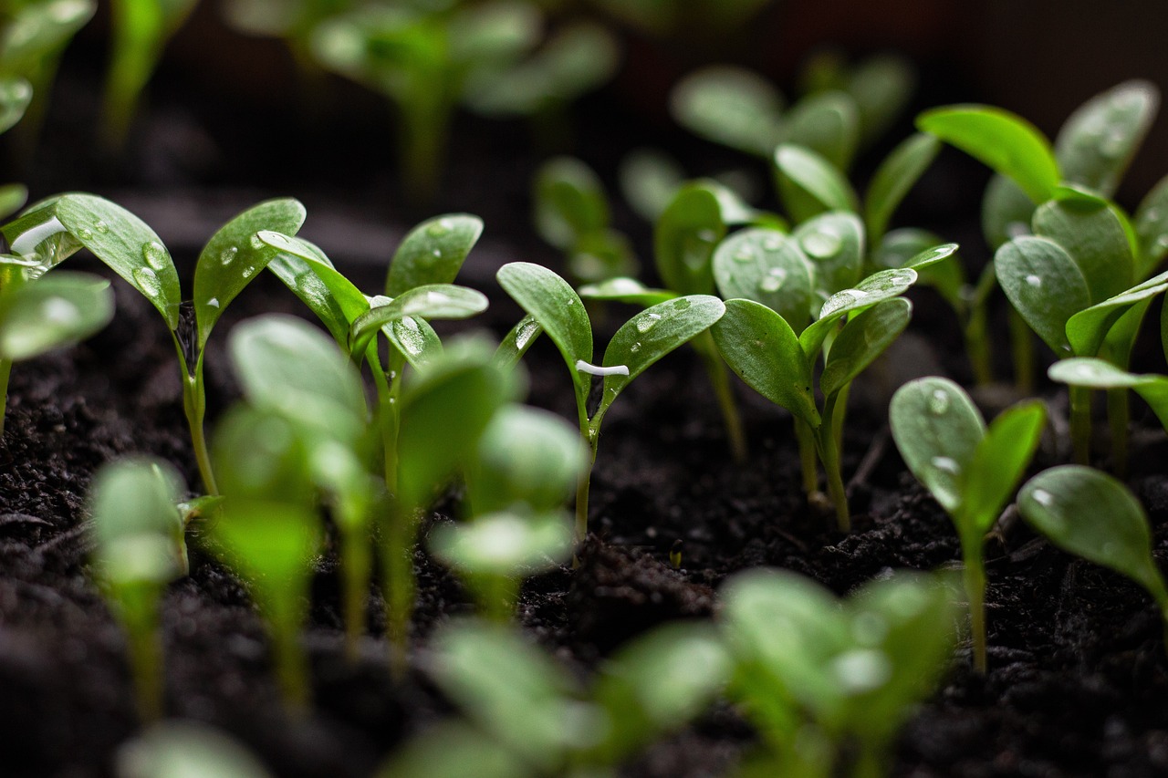 découvrez les pratiques de consommation durable qui préservent notre planète tout en répondant à nos besoins. informez-vous sur les choix responsables, les produits éthiques et les stratégies pour réduire votre empreinte écologique.