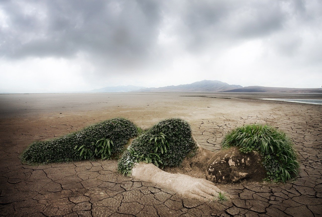 découvrez l'impact environnemental et les défis écologiques auxquels notre planète est confrontée. apprenez comment nos actions influencent l'écosystème et explorez des solutions pour un avenir durable.