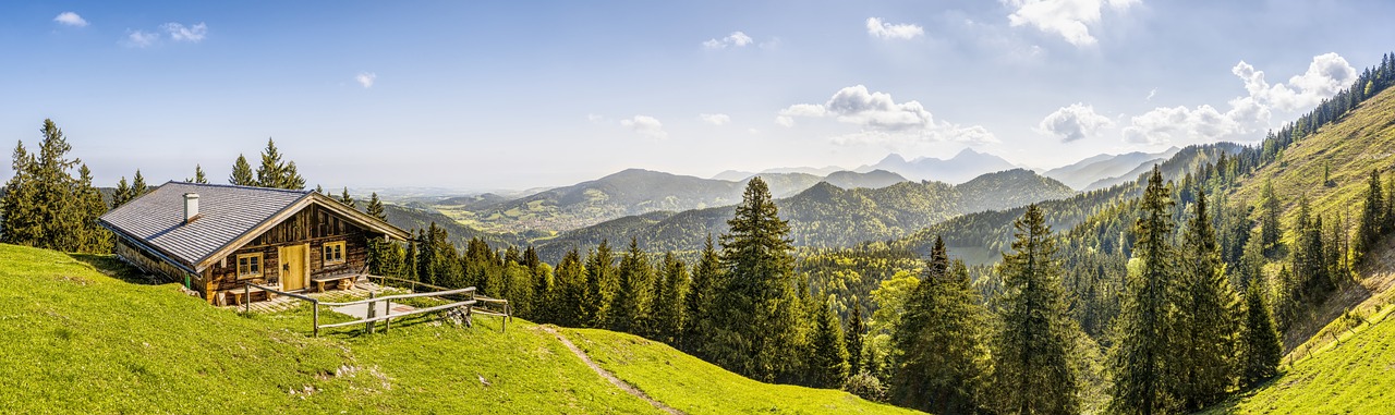 découvrez la beauté et la richesse des forêts, des écosystèmes essentiels pour la biodiversité, la régulation du climat et le bien-être humain. explorez leurs trésors naturels, leur faune diverse et les menaces qui pèsent sur elles.