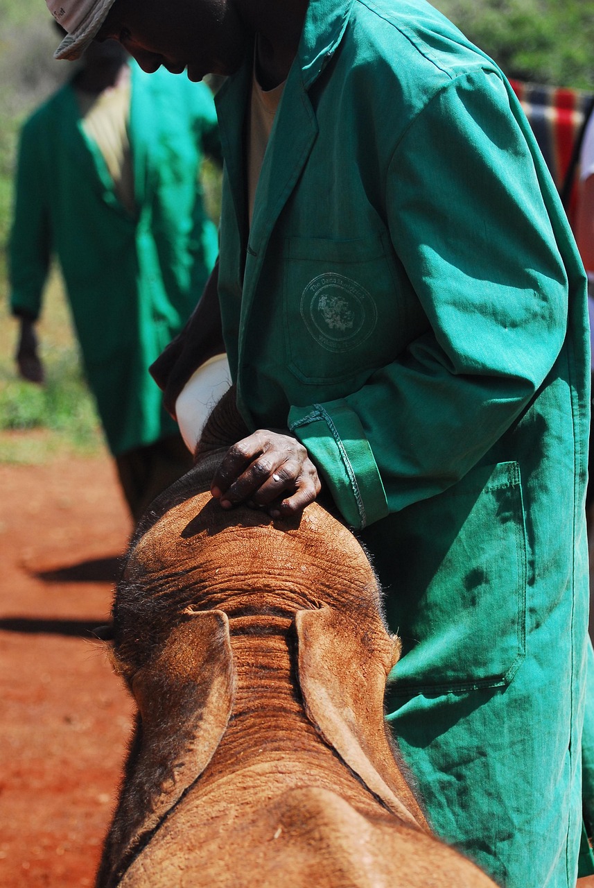 découvrez le monde fascinant des ong, leurs missions essentielles, leur impact sur la société et comment vous pouvez vous engager pour un changement positif. informez-vous sur les initiatives à travers le globe et soyez acteur d'une cause qui vous tient à cœur.