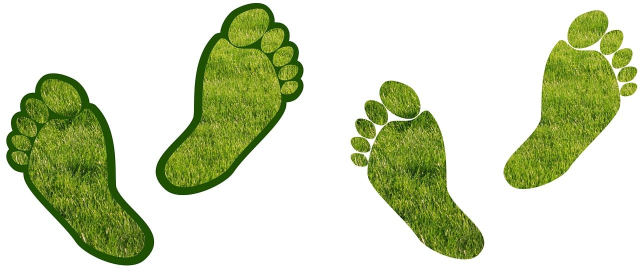 découvrez l'empreinte carbone, un indicateur essentiel de notre impact sur l'environnement. apprenez comment réduire votre empreinte carbone et adopter des pratiques durables pour un avenir plus vert.