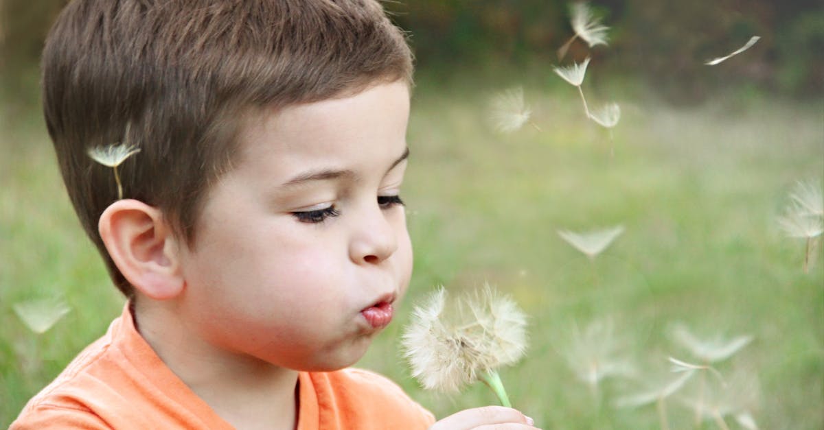 découvrez un monde enchanté pour les enfants, où l'imagination n'a pas de limites. explorez des activités éducatives, des jeux amusants et des conseils parentaux pour éveiller la curiosité et le développement de votre enfant.
