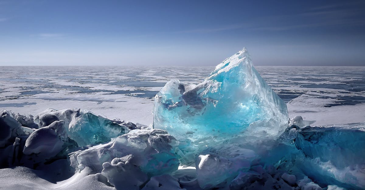 découvrez tout ce que vous devez savoir sur le climat : ses enjeux, ses changements, et les actions à entreprendre pour un avenir durable. informez-vous sur les sciences climatiques et les initiatives écologiques.