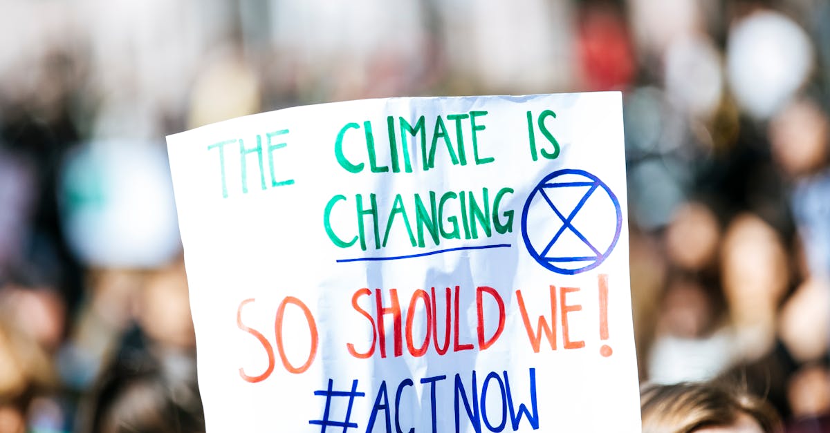 explorez les impacts et défis du changement climatique, ses causes et ses conséquences sur notre planète. découvrez les solutions pour lutter contre ce phénomène qui affecte notre environnement et notre avenir.