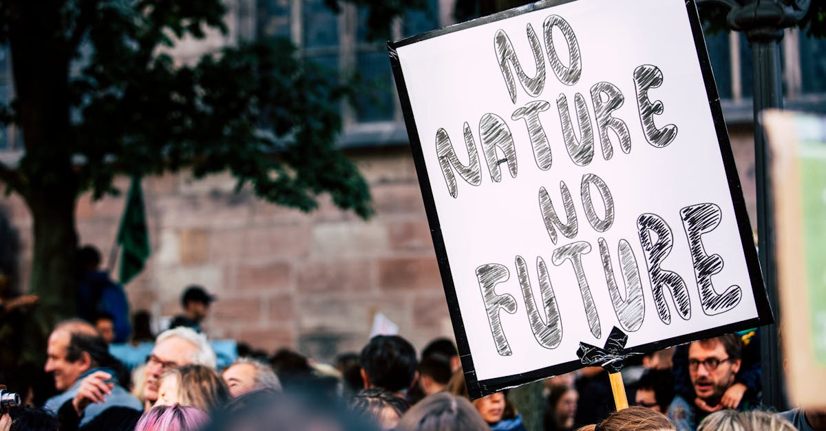 découvrez les enjeux du changement climatique, ses impacts sur notre planète, et les actions nécessaires pour préserver notre environnement et garantir un avenir durable.