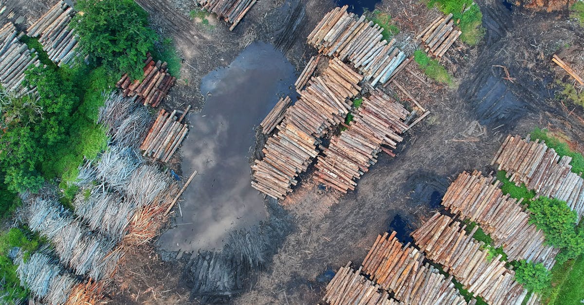 découvrez comment le changement climatique affecte notre planète, nos écosystèmes et nos vies quotidiennes. explorez les conséquences des variations climatiques et les solutions pour un avenir durable.