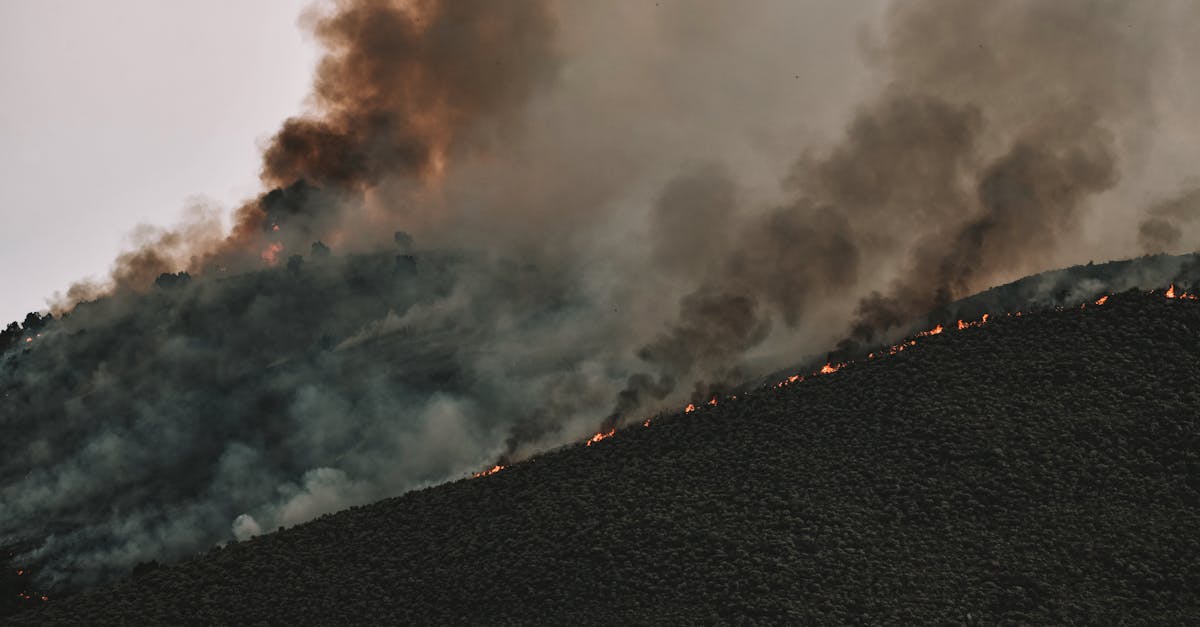 découvrez l'impact du changement climatique sur notre planète : ses conséquences sur l'environnement, la biodiversité et les sociétés humaines. informez-vous sur les solutions pour atténuer ces effets et protéger notre avenir.